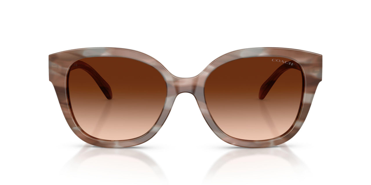 590174 - Brown - Brown Gradient