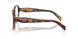 22A1O1 - Tortoise