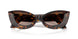 108/13 - Brown - Brown Gradient