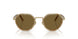 630073 - Tortoise - Dark Brown