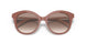 01Y1L0 - Light Brown - Clear Gradient Brown