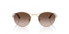300213 - Gold - Gradient Brown
