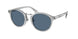 Polo 4230 Sunglasses