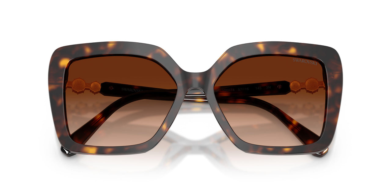 100274 - Tortoise - Brown Gradient