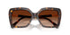 100274 - Tortoise - Brown Gradient