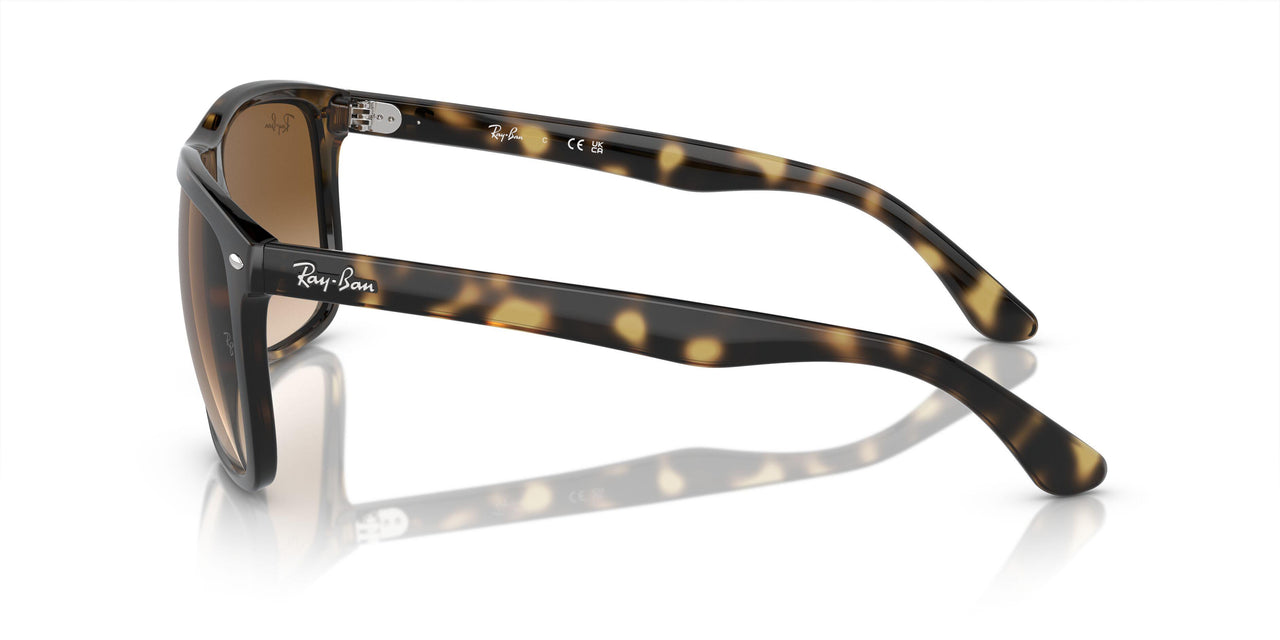 710/51 - Tortoise - Clear/brown