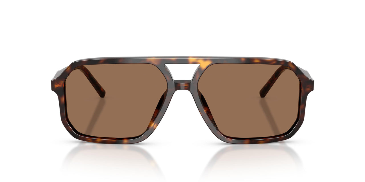 502/73 - Tortoise - Dark Brown
