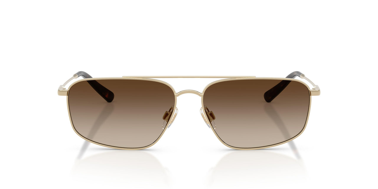 939313 - Gold - Brown Gradient Dark Brown