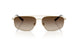 939313 - Gold - Brown Gradient Dark Brown