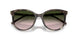 34782C - Green - Light Brown Gradient Green