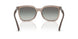 294011 - Brown - Gradient Grey