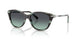 Tiffany 4267 Sunglasses
