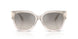 611208 - Grey - Grey Gradient Flash