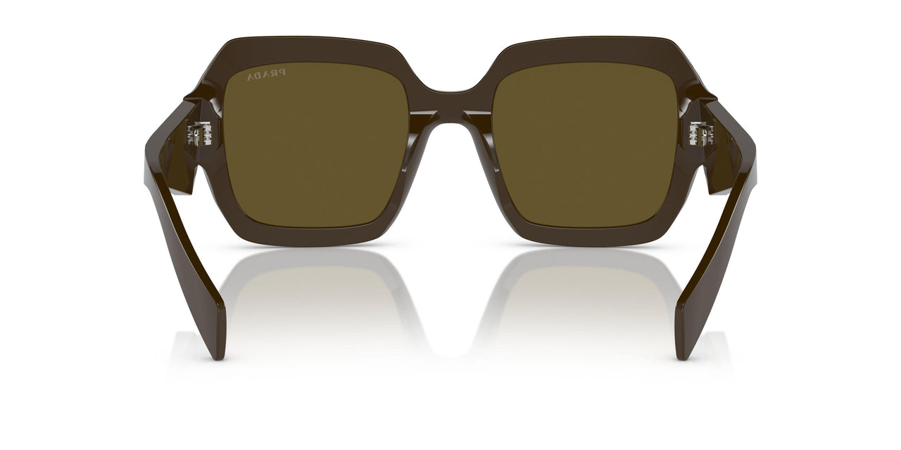 15L09Z - Green - Dark Brown