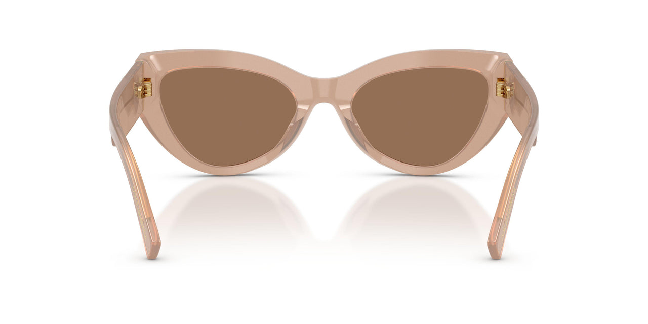 304273 - Brown - Dark Brown
