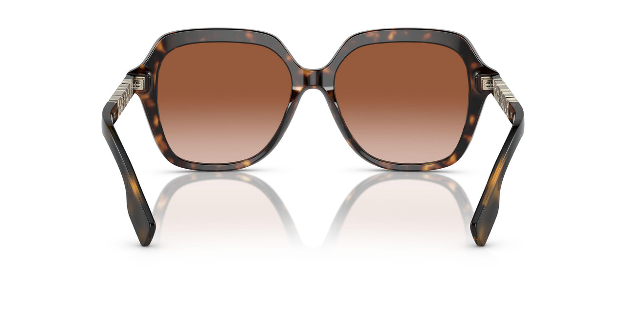 300213 - Brown - Brown Gradient