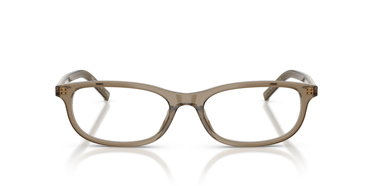 18T1O1 - Brown