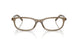 18T1O1 - Brown