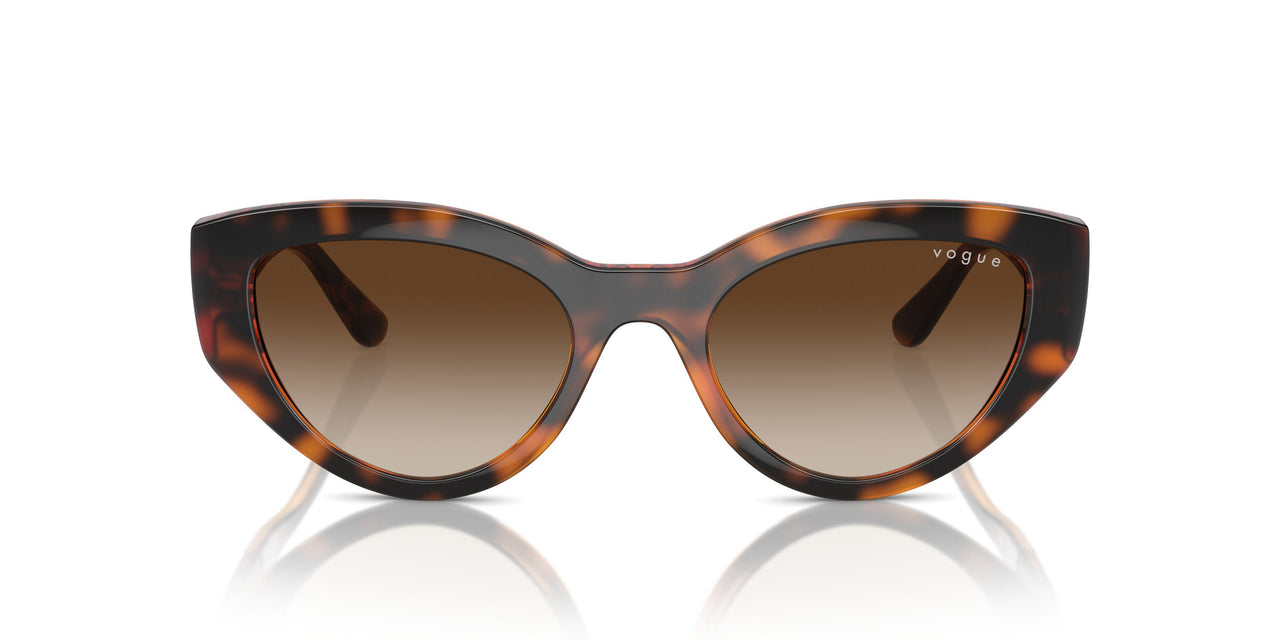 W65613 - Brown - Gradient Brown