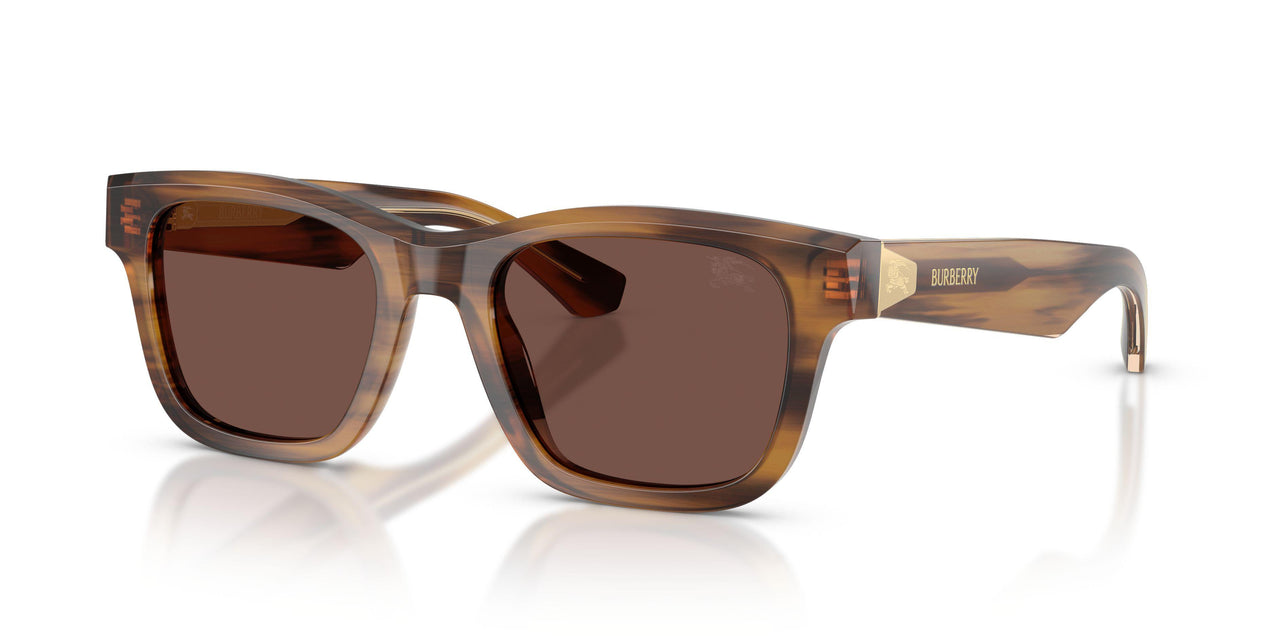 Burberry 4504 Sunglasses
