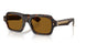 180153 - Brown - True Brown