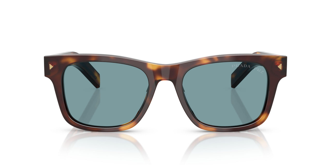 15W04D - Tortoise - Green Polar