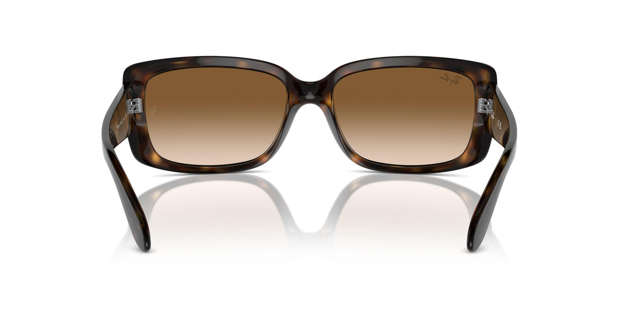 710/51 - Tortoise - Clear Brown