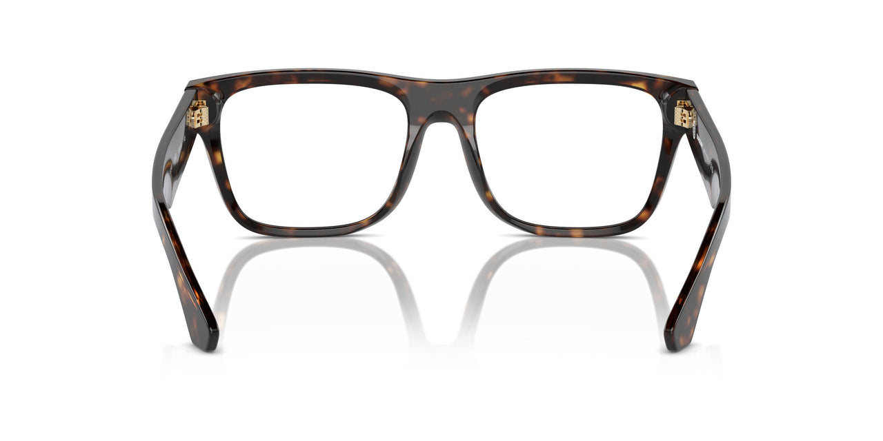 3002 - Brown