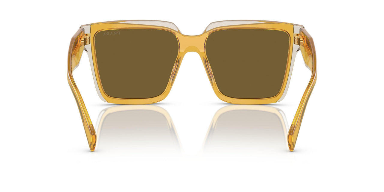 14I01T - Yellow - Dark Brown