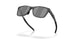 950606 - Grey - Prizm Black