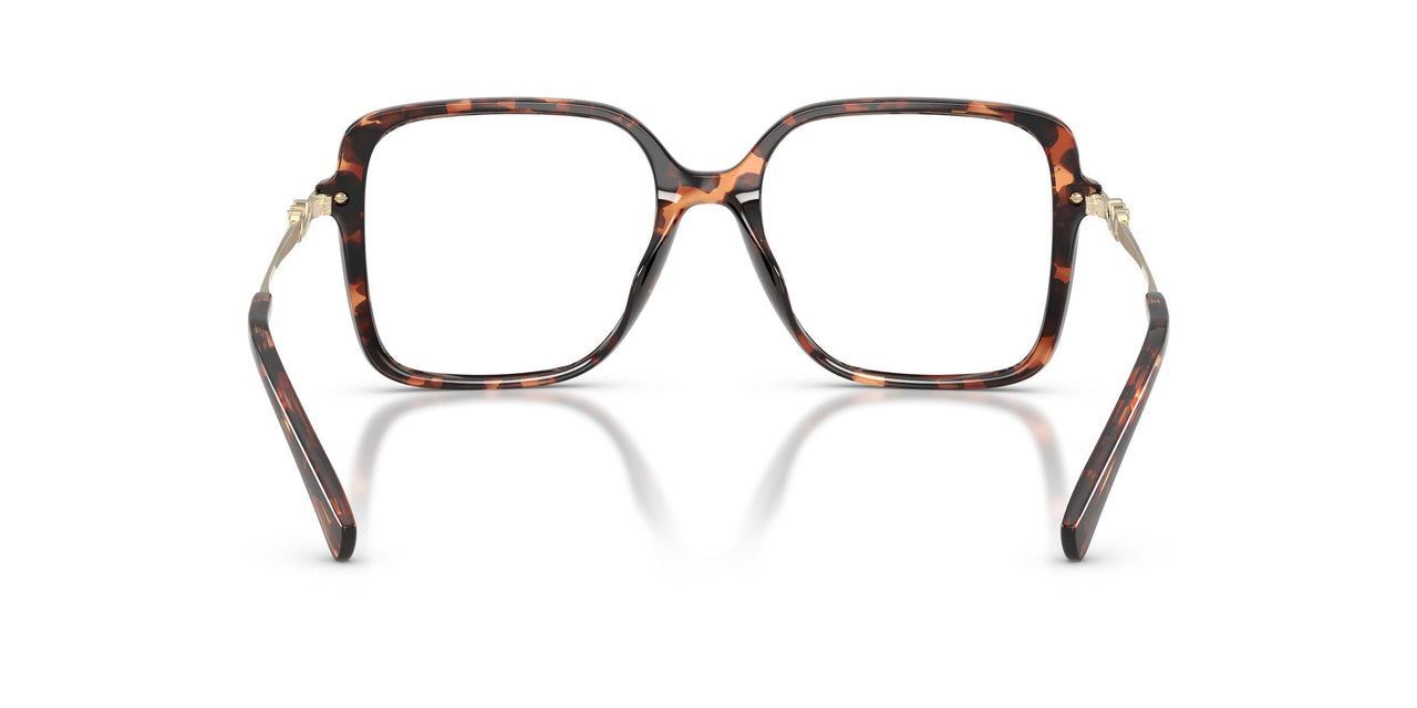 4031 - Tortoise
