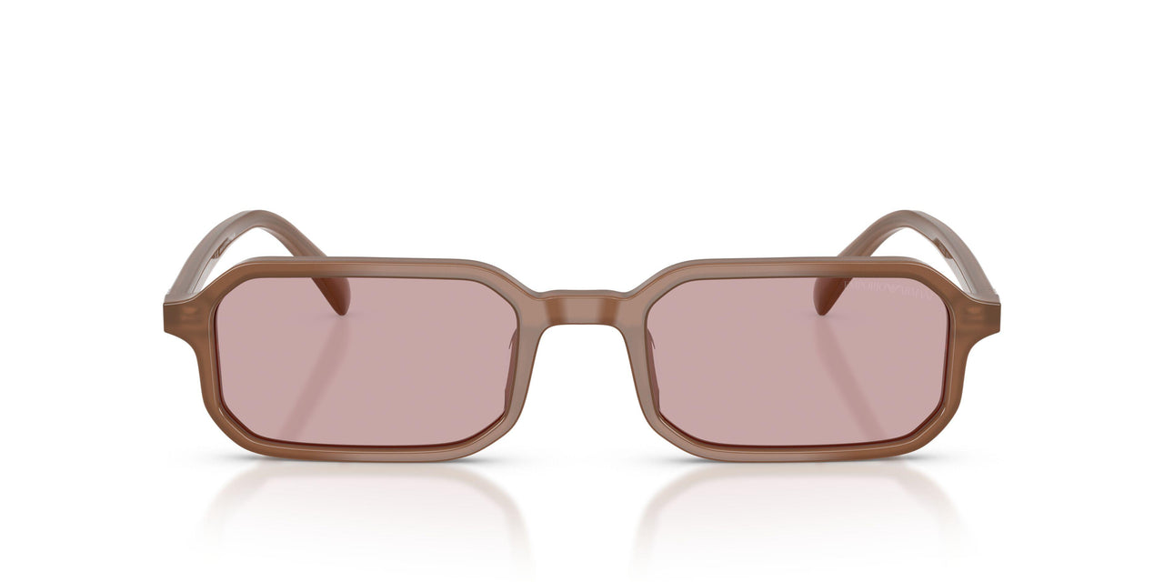 627173 - Brown - Pink
