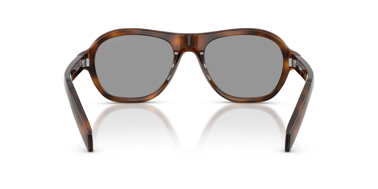 20D50Q - Havana Brown
