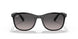 601/M3 - Black - Polar Grey Gradient