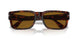 24/33 - Tortoise - Brown