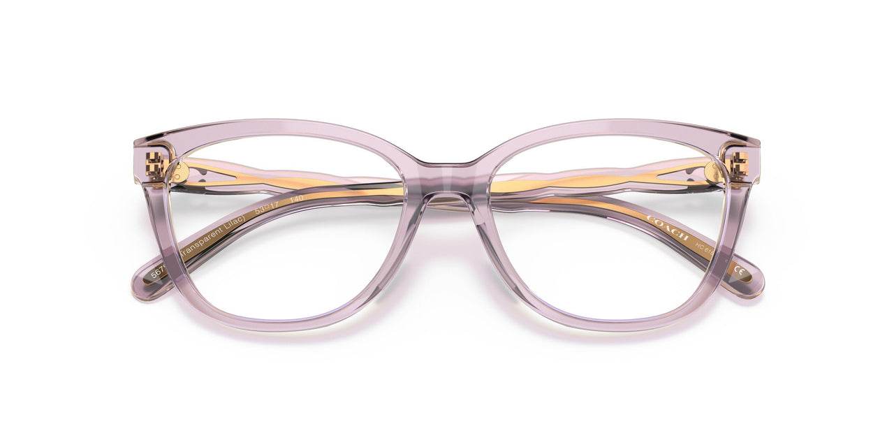 5679 - Violet