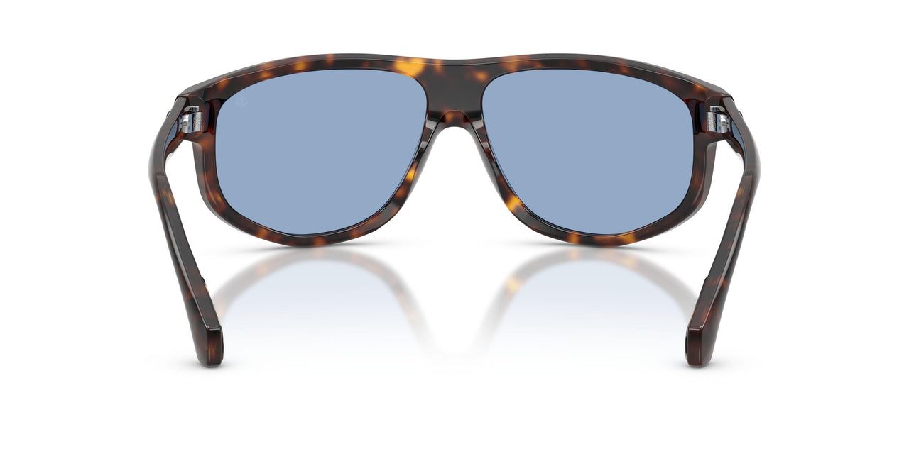 300280 - Tortoise - Solid Blue