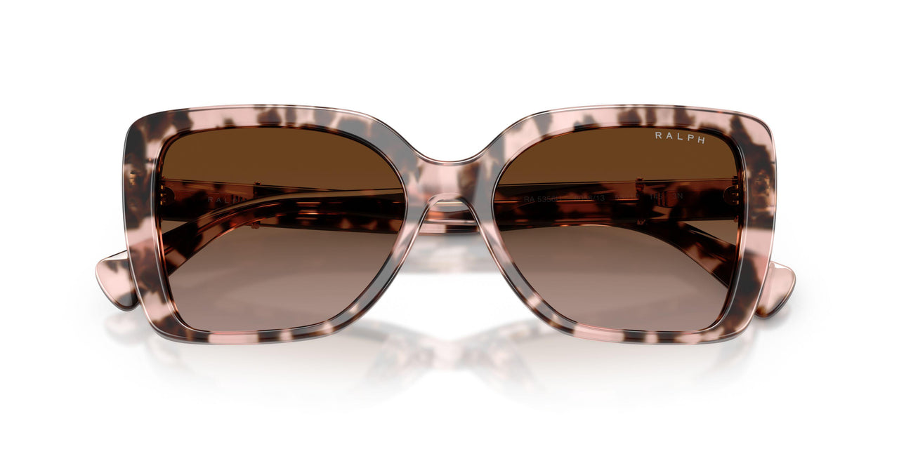 605813 - Tortoise - Gradient Brown
