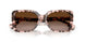 605813 - Tortoise - Gradient Brown