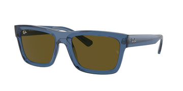 Ray-Ban Warren 4396 Sunglasses
