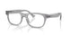 Polo 2317U Eyeglasses
