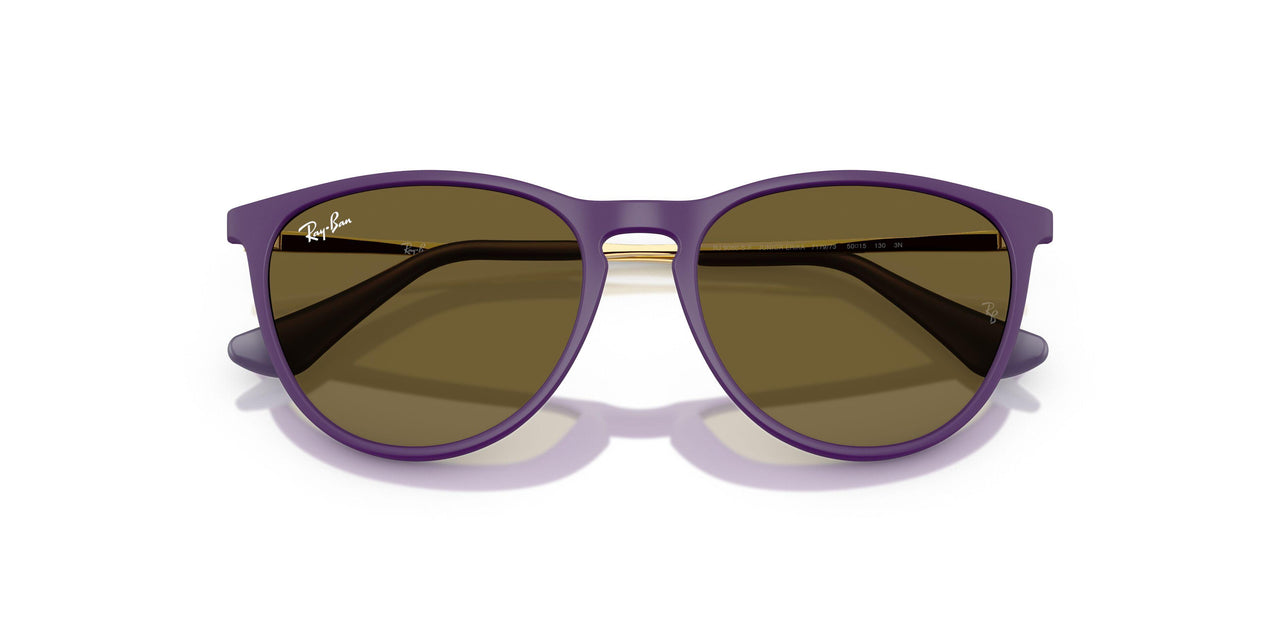 717973 - Violet - Dark Brown
