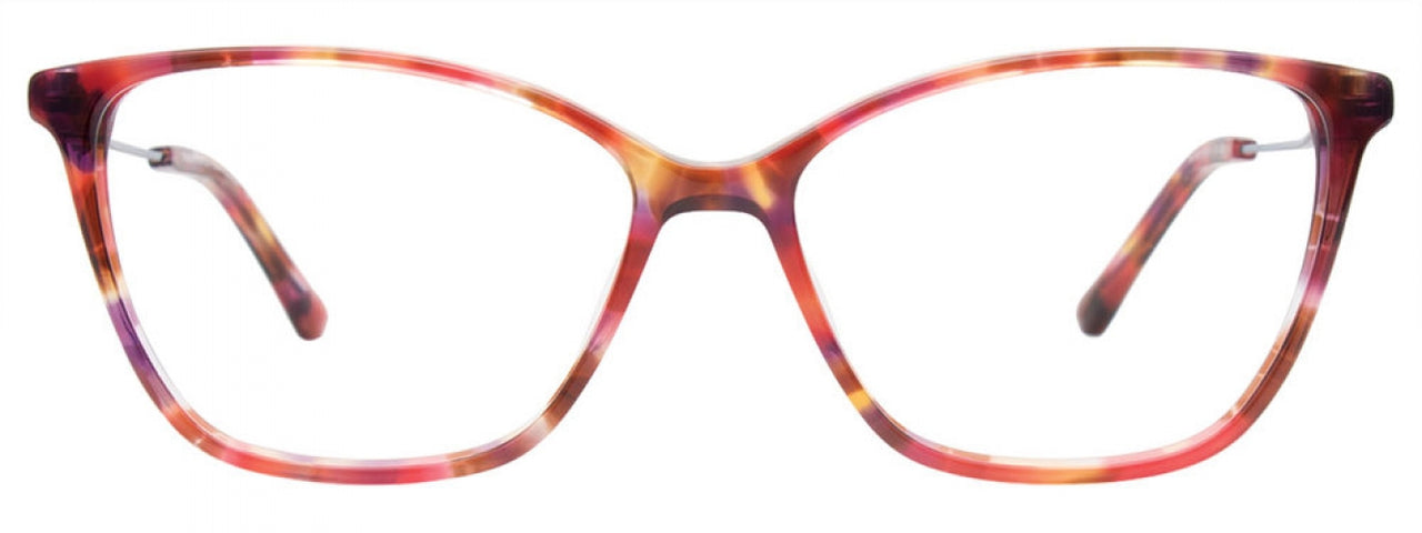 30 - Marsala Tortoise