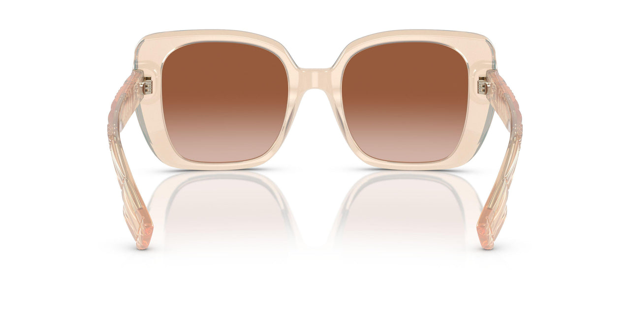 406013 - Pink - Brown Gradient