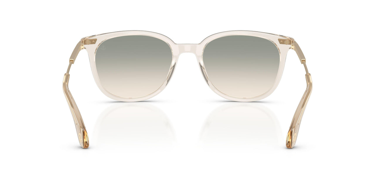 30032C - Brown - Gradient Brown