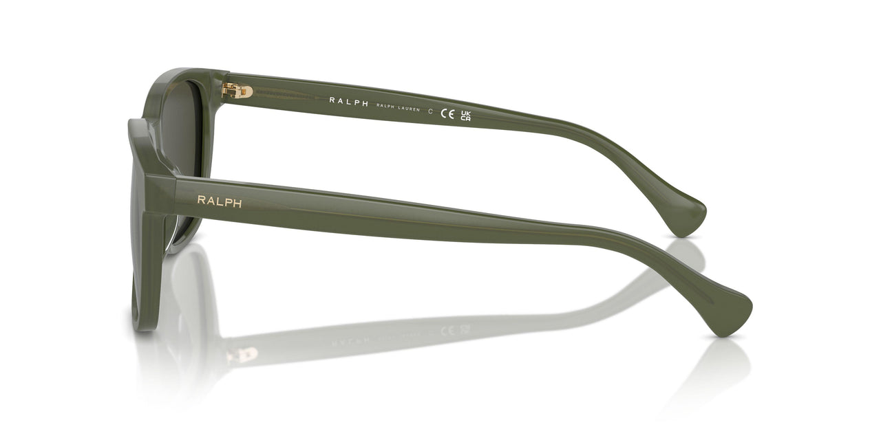 615982 - Green - Dark Green