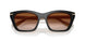 63791W - Brown - Clear