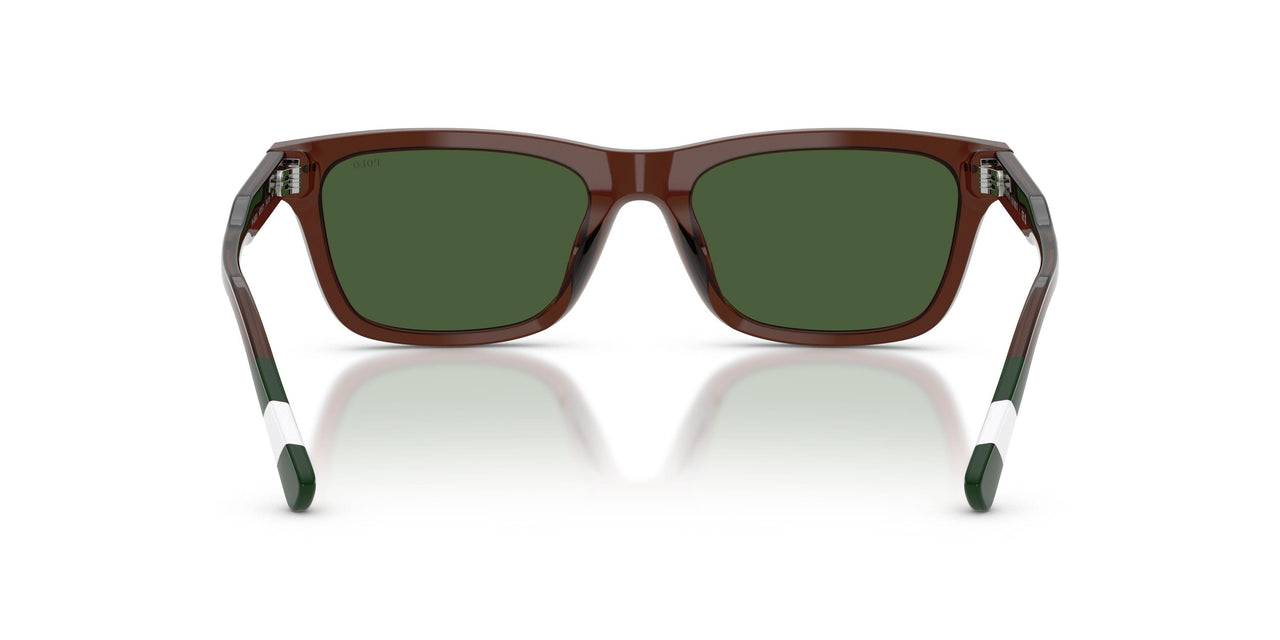 631571 - Brown - Dark Green