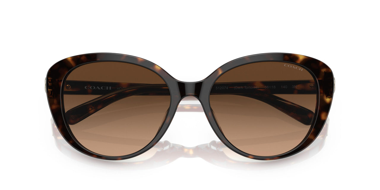 512074 - Havana - Brown Gradient
