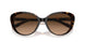 512074 - Havana - Brown Gradient